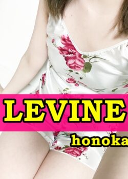 Levine～レヴァイン～