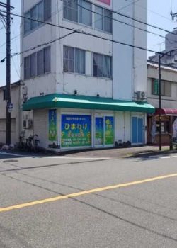 ひまわり