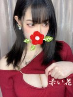 赤い花